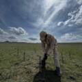 Qazaq Geophysics проводит полевые геофизические исследования в области Жетысу